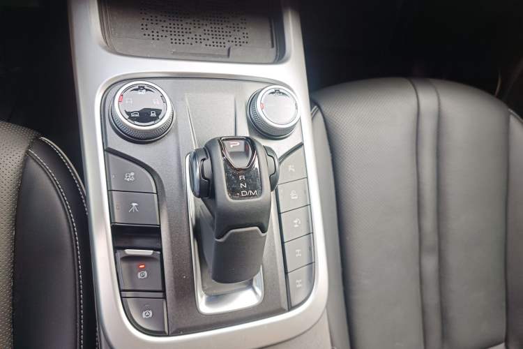 Used Tank 300 2024 2.0T Conqueror