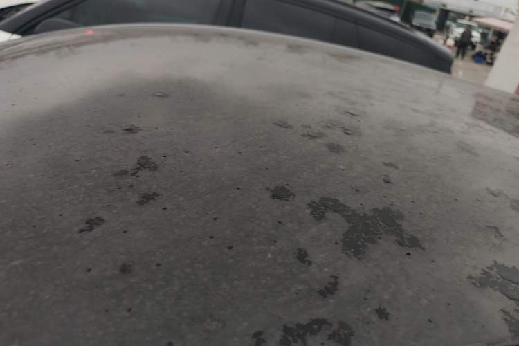 Used BYD Dolphin 2021 405 km Fashion Edition
