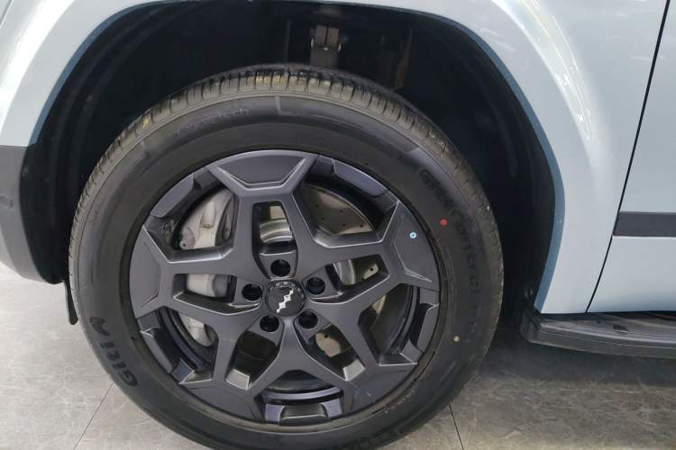 Used Formula Leopard Tai 7 2025 Model 190 km Four-Wheel Drive Ultra Edition