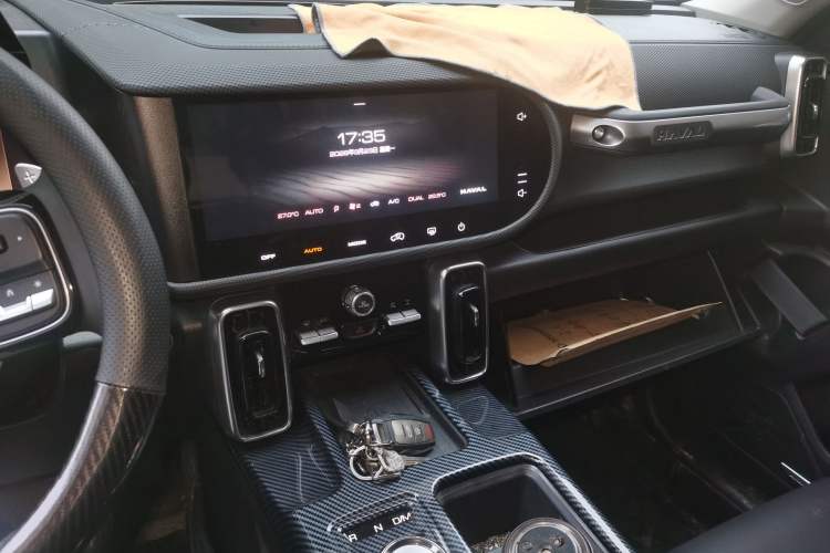 Used Haval DARGO 2024 2.0T DCT Chinese Rural Dog Edition
