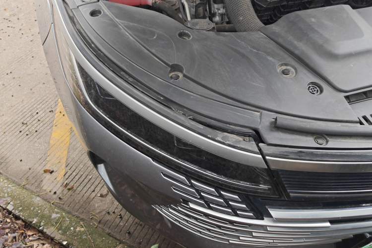 Used BYD Destroyer 05 2023 Champion Edition DM-i 120KM Prestige Model
