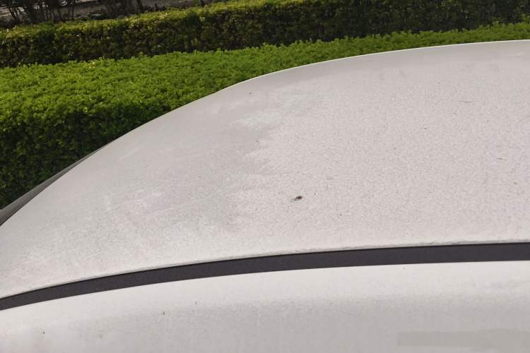 Used Kia Forte 2018 1.6L Automatic Value-Connect Edition with Intelligent Connectivity