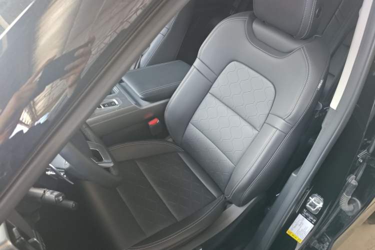 Used Haval DARGO 2024 2.0T DCT Chinese Rural Dog Edition
