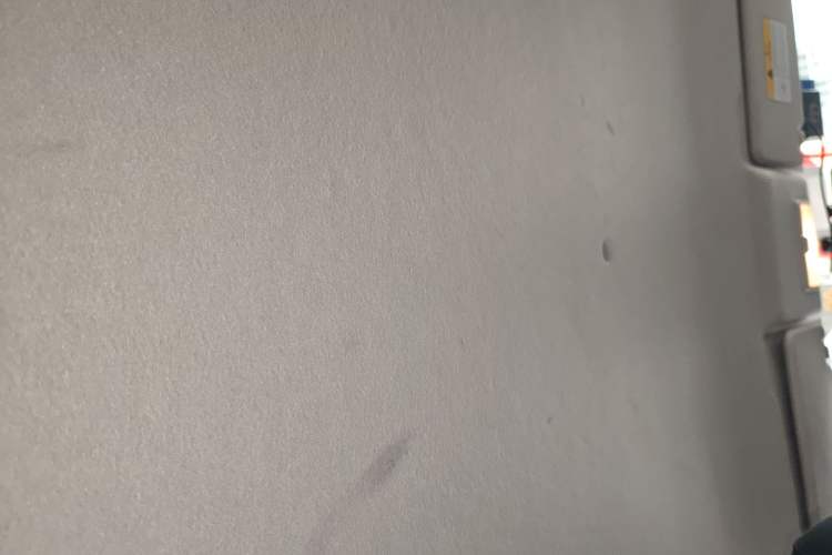 Used CHANGAN OSHAN Benni E-Star 2020 Heartbeat Edition NMC Lithium Headliner