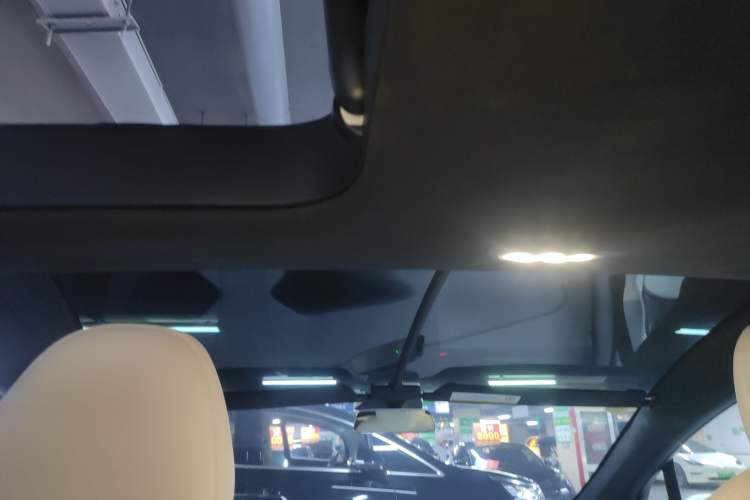 Used Tesla Model X 2019 Performance High-Performance Edition Headliner