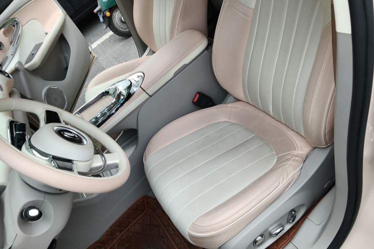 Used ORA Ballet Cat 2022 500 km Swan Lake Edition