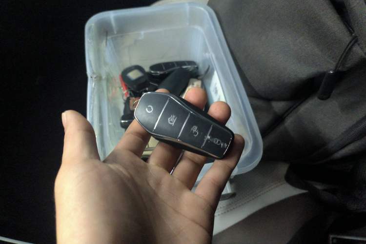 Used BYD Qin PLUS 2024 HONOR Edition DM-i 55KM Leading Model
