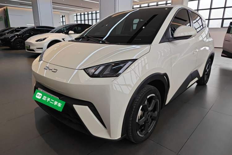 Used BYD Seagull 2024 Honor Edition 305km Freedom Version
