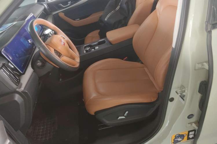 Used WM Motor W6 2021 520km PRO All-Round Edition Left Front Seat