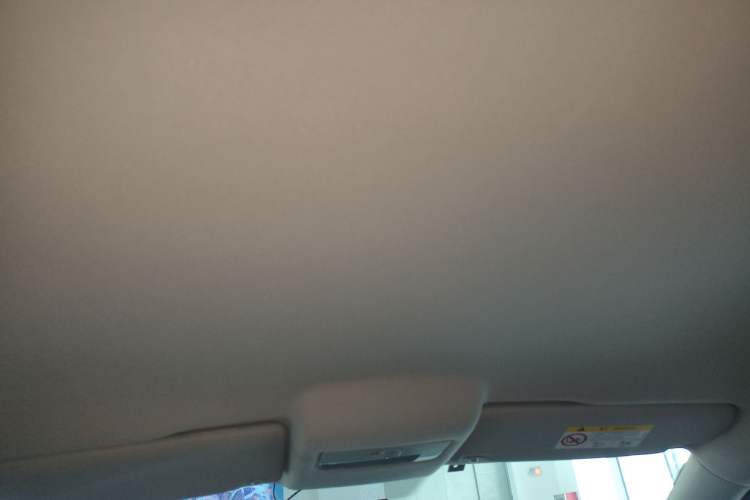 Used Volkswagen Polo 2018 1.5L Automatic Advanced Driving Model Headliner