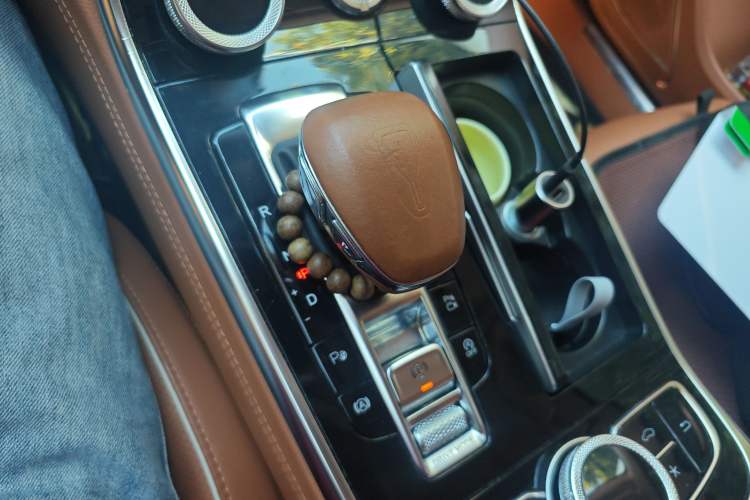 Used Hongqi H9 2020 2.0T Smart Connect Flagship Edition