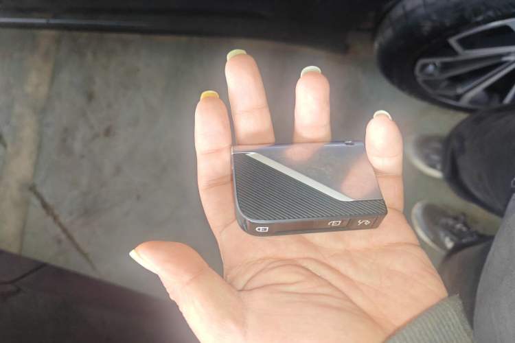 Used Lynk & Co 09 EM-P 2023 2.0TD EM-P Four-Wheel Drive Asian Games Executive Edition Five Seats
