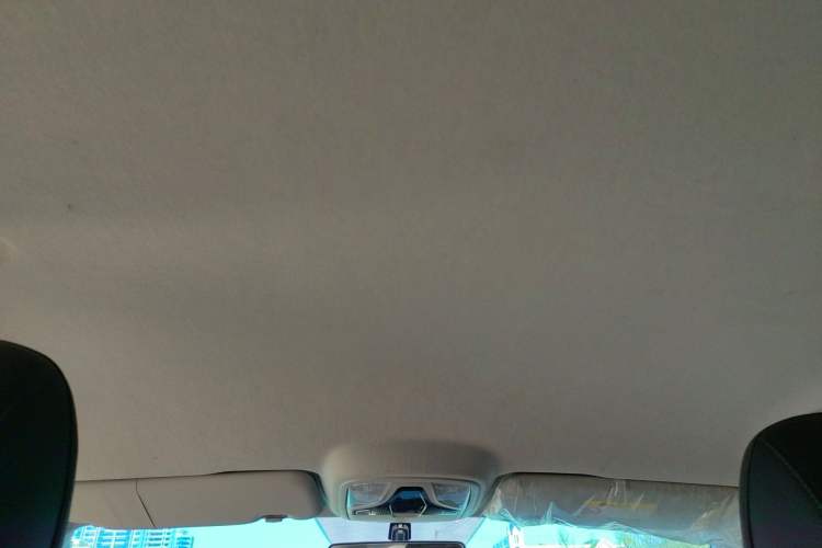 Used Great Wall King Kong Poer 2022 2.0T Manual Diesel 4x4 Elite Long-Box Version GW4D20M Headliner