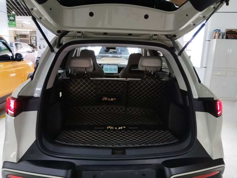 Used BYD Yuan UP 2024 401KM Leading Edition — 18