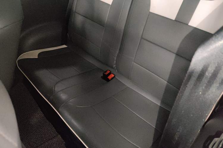 Used Qiyuan Lumin 2023 205km Xiangqin Version