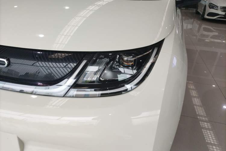 Used BYD Dolphin 2023 420 km Free Version Left Front Headlight