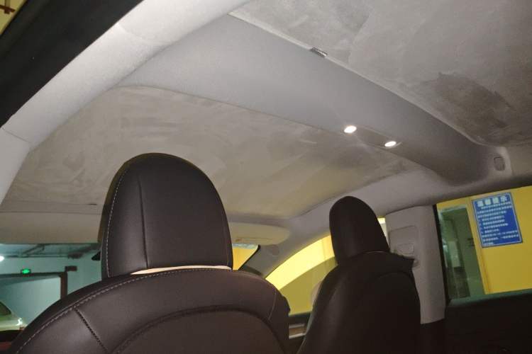 Used Tesla Model 3 2022 Rear-Wheel-Drive Version Headliner