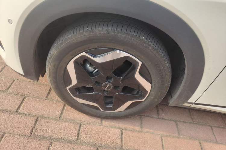 Used BYD Dolphin 2025 Smart Drive Version 420 km Freedom Edition