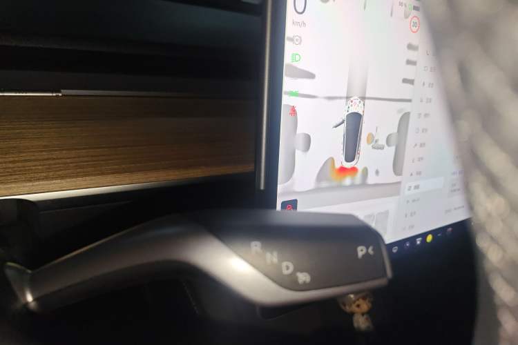 Used Tesla Model 3 2022 Rear-Wheel-Drive Version
