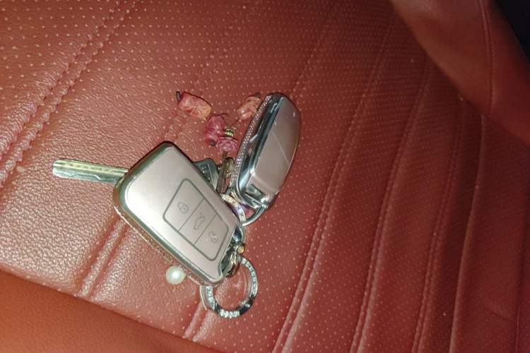 Used Volkswagen Magotan 2020 330TSI DSG Luxury Edition
