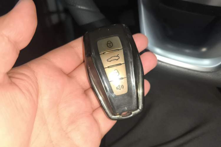 Used Geometry E Firefly 2024 301km Flowing Light