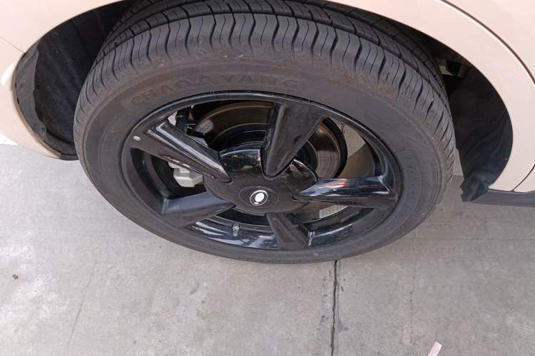 Used ORA Good Cat 2024 401 km Luxury Version