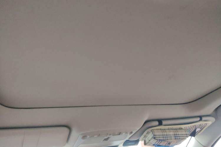 Used Nissan X-Trail 2019 2.5L CVT Smart Connect Luxury Edition 4WD Headliner