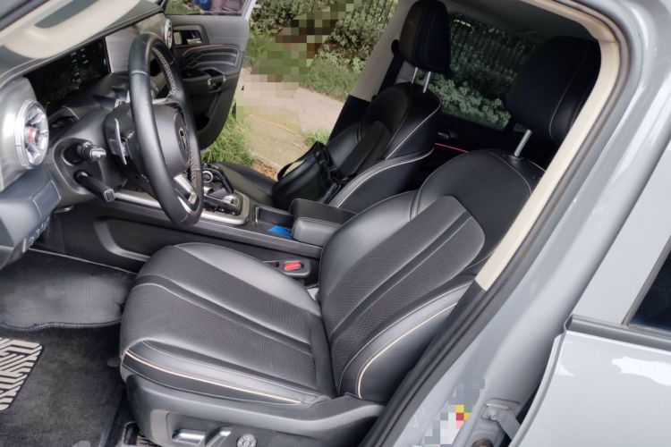 Used Tank 300 2024 2.0T Conqueror Left Front Seat