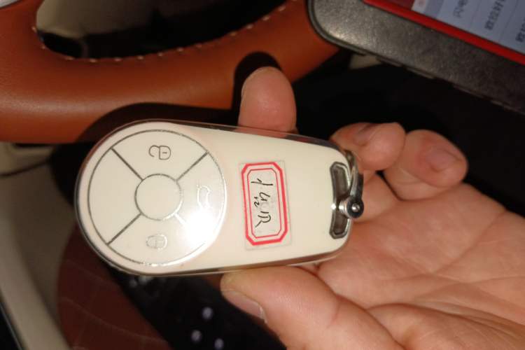 Used ORA Good Cat 2023 401 km Standard Range Comfort Version Lithium Iron Phosphate