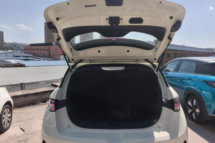 Used BYD Dolphin 2025 Intelligent Driving Version 410 km Fashion Edition