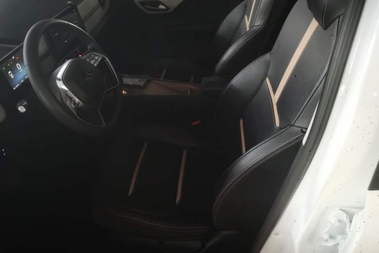 Used SOL E10X 2022 Flower Fairy Design Four-Leaf Clover