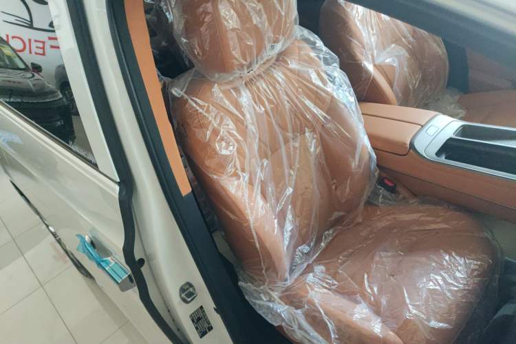 Used Wey Gaoshan 2025 Four-Wheel Drive Alpine 8
