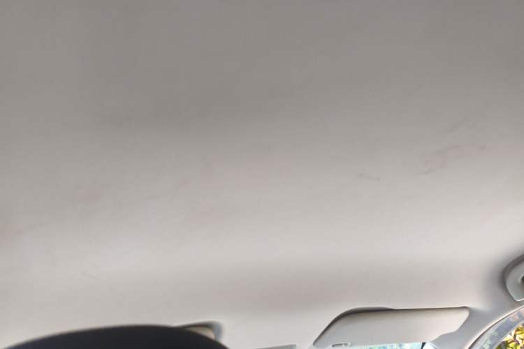 Used NETA V 2021 Long-Range Entertainment Edition Upgrade Model
