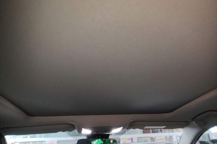 Used Toyota Wildlander 2024 Dual-Motor 2.5L E-CVT Two-Wheel Drive Luxury PLUS Edition Headliner