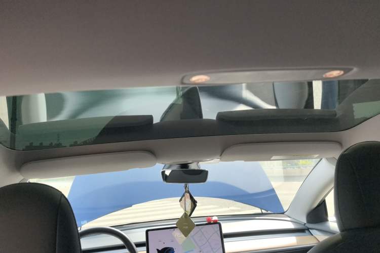 Used Tesla Model 3 2021 Standard Range Rear-Wheel Drive Upgraded Version 3D6 Headliner