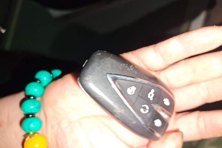 Used CHANGAN OSHAN X7 2020 1.5T Automatic Parking with Facial Recognition – Spacey & Carefree Edition