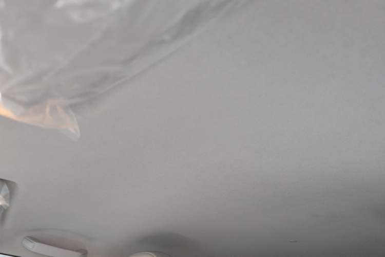 Used Qiyuan Lumin 2025 205 km Xiangqin Version