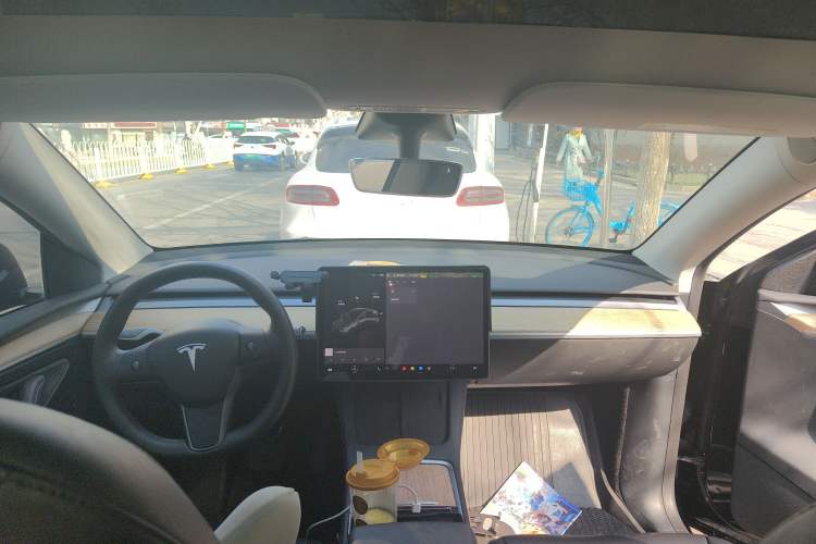 Used Tesla Model Y 2021 Standard Range Rear-Wheel Drive Version