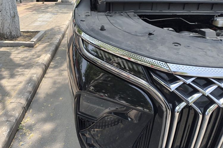 Used FORTHING Xinghai V9 2024 1.5TD 200km Chinese Knot Series Luxury Version