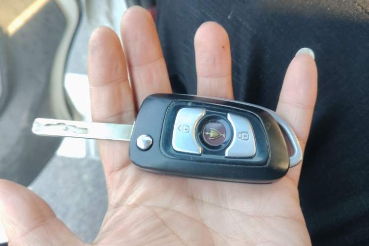 Used Jinbei Hiace King 2021 2.0L City Transport King Series Express Model Standard Top 6-Seater 1TZS
