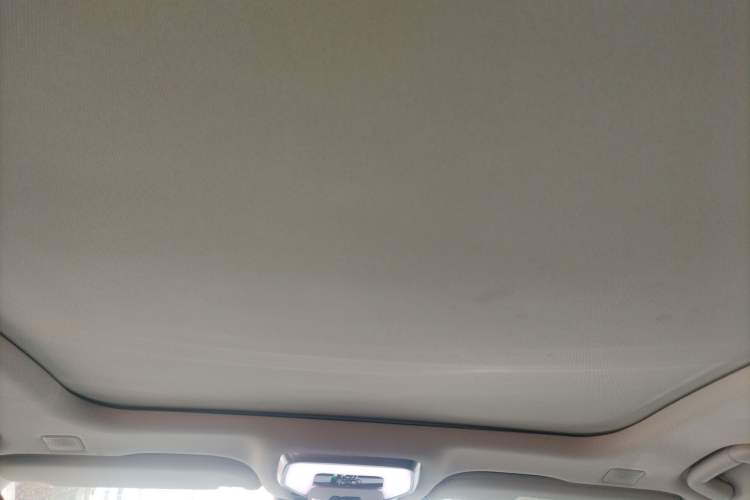 Used Hongqi H9 2020 2.0T Smart Connect Flagship Edition Headliner