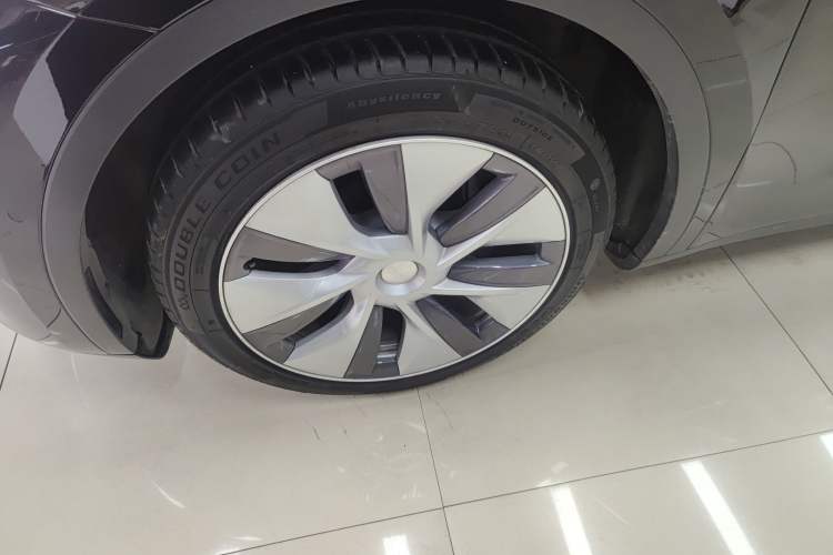 Used Tesla Model Y 2021 Standard Range Rear-Wheel Drive Version
