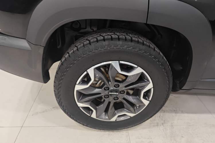 Used Haval DARGO 2024 2.0T DCT Chinese Rural Dog Edition
