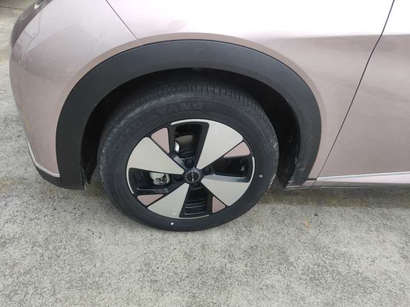 Used BYD Dolphin 2023 420 km Fashion Edition — 22