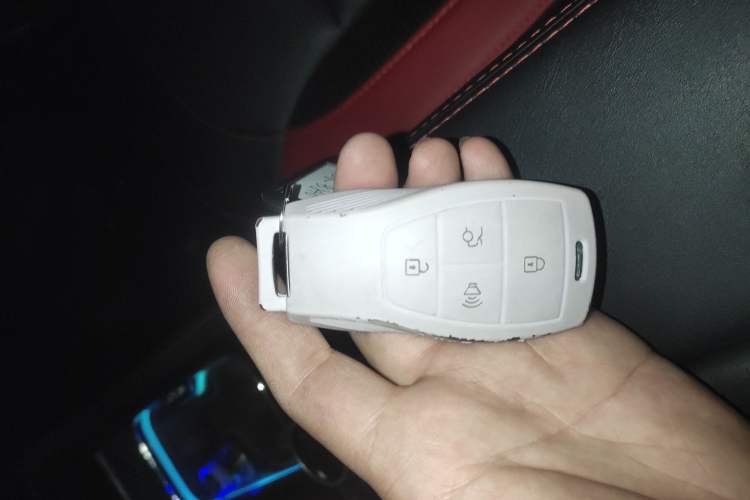 Used BAIC Off-Road BJ40 2023 2.0D Automatic Four-Wheel Drive Blade Hero Edition Adventurer Type
