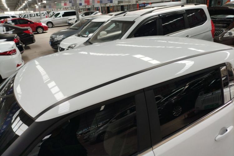 Used ORA White Cat 2020 305 km Luxury Version Roof