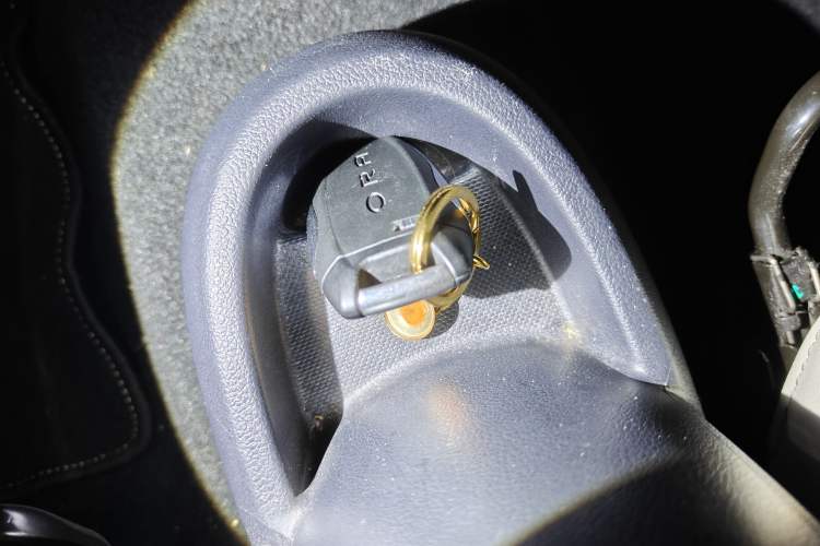 Used ORA Black Cat 2019 351 km Goddess Edition