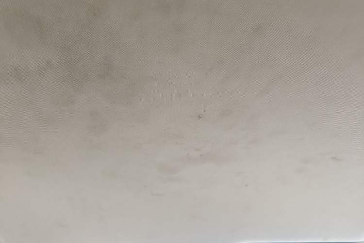 Used BAIC Weiwang M50F 2017 1.5L Standard Model