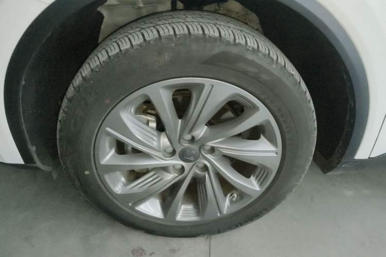 Used Livan Maple 80v PRO 2022 Comfort Edition Standard Range Version