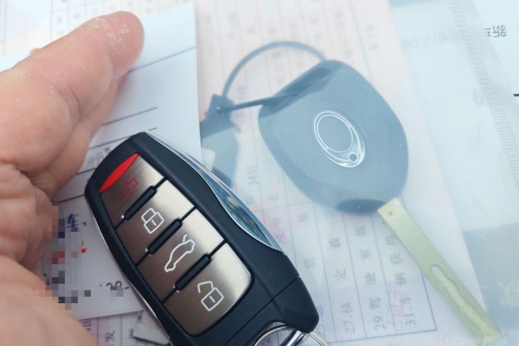 Used ORA Black Cat 2021 301km Cute Pet Edition